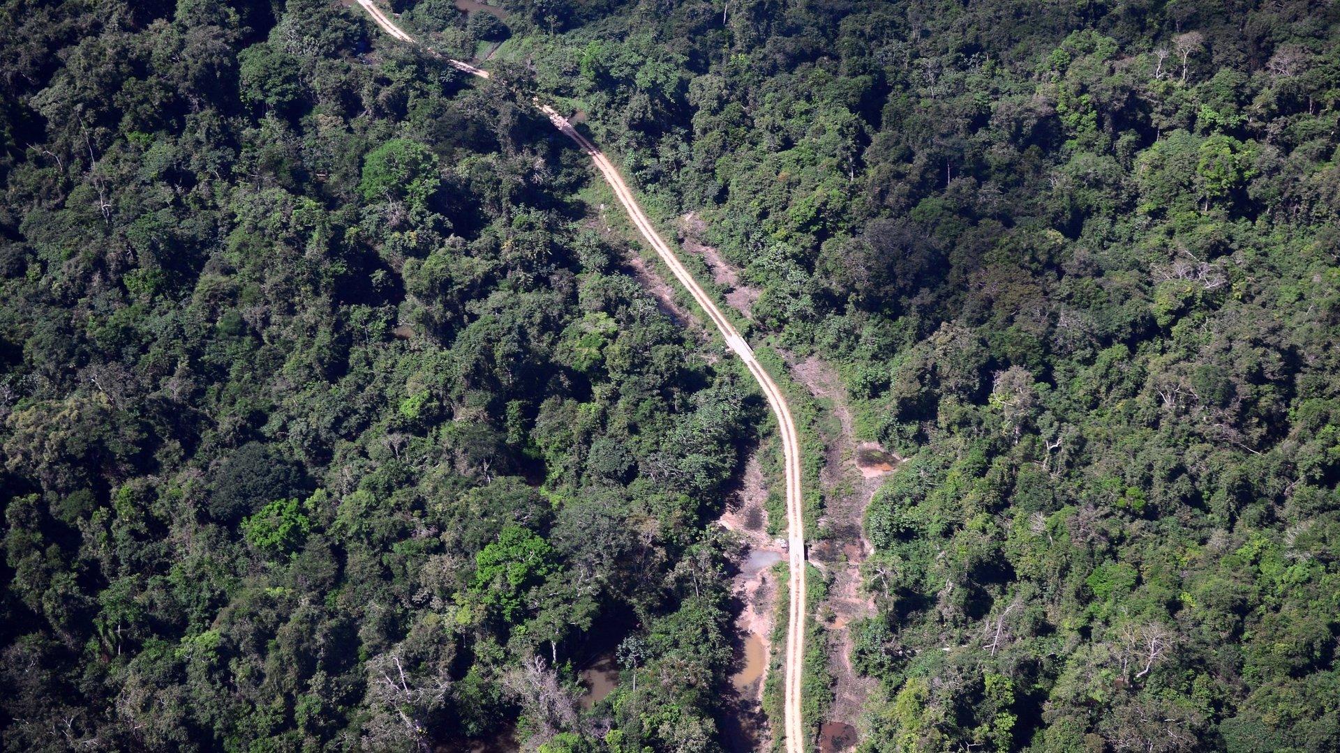 Vista aérea de uma estrada de terra que atravessa uma floresta densa no Pará, Brasil.